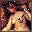 Classic Nude Ks icon