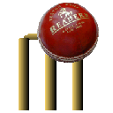 Cricket icon