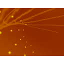 Mac Lesson Planner Pro icon